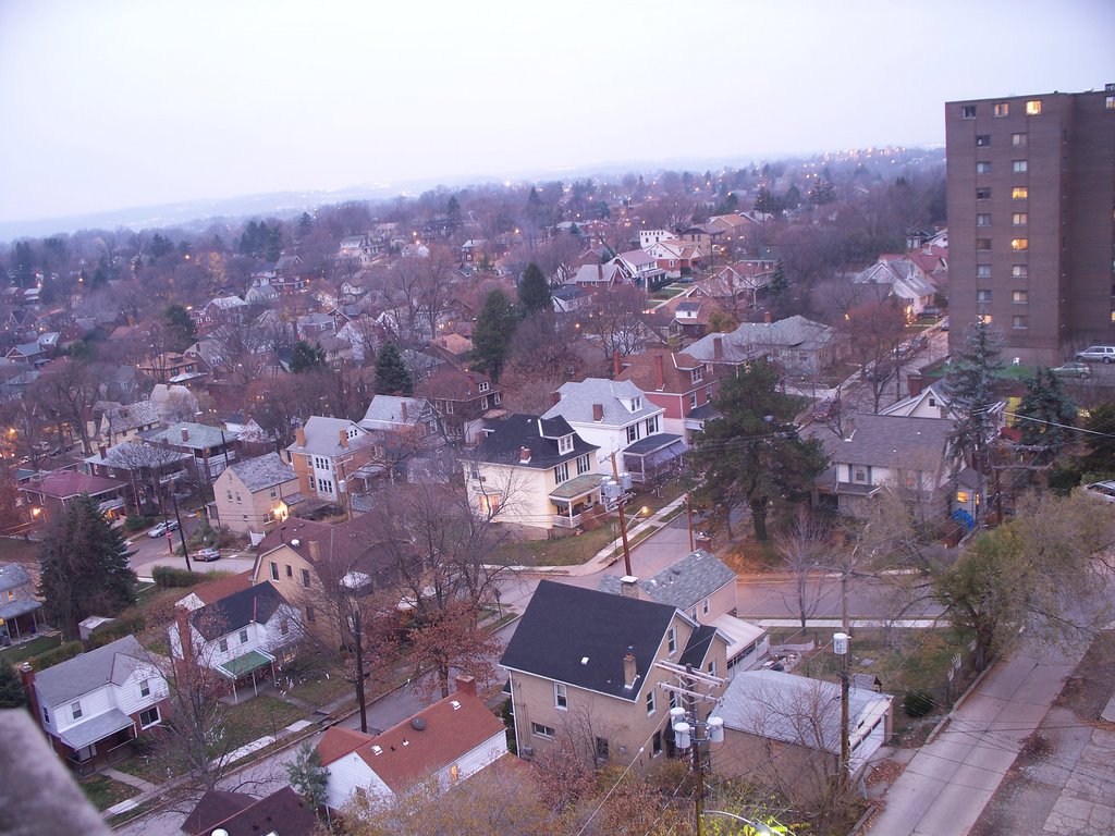 Mt. Lebanon Houses