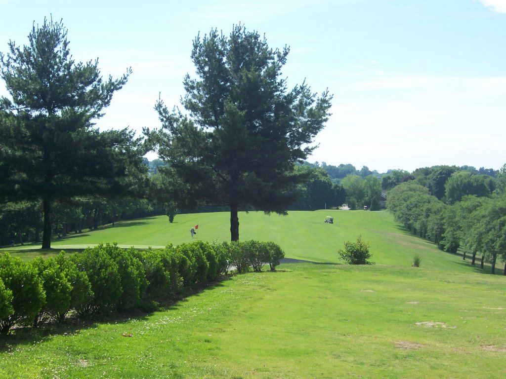 8th Green