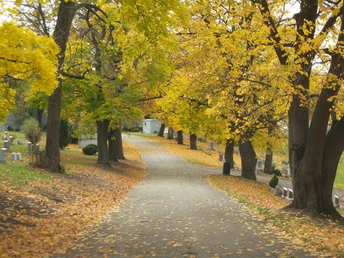 Mt. Lebanon Autumn Colors
