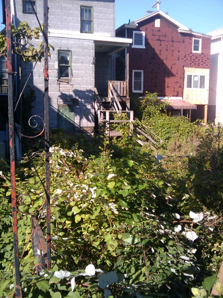 903 Chartiers Rear