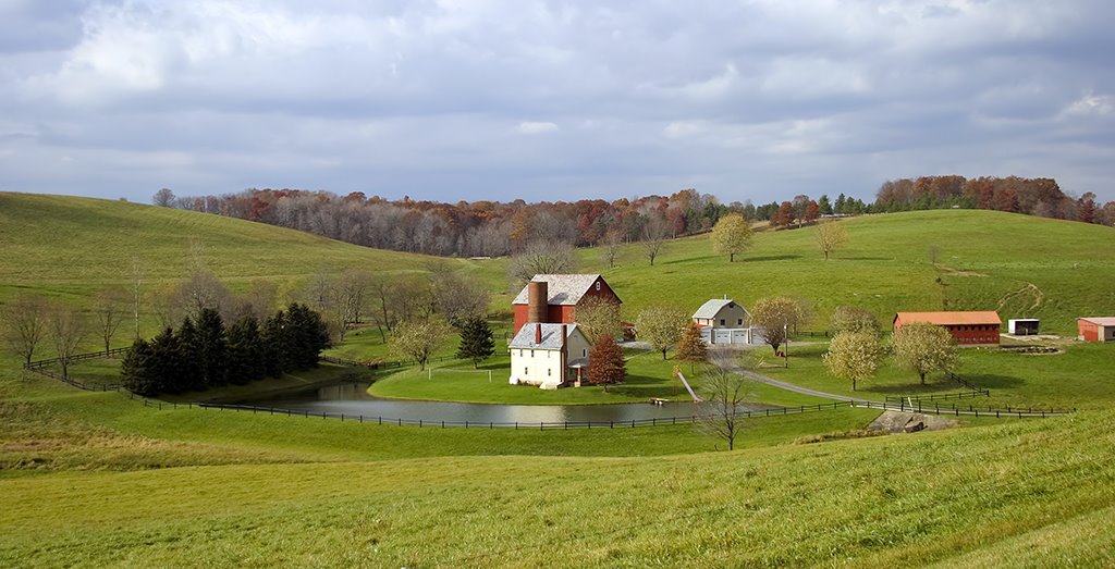 Farm
