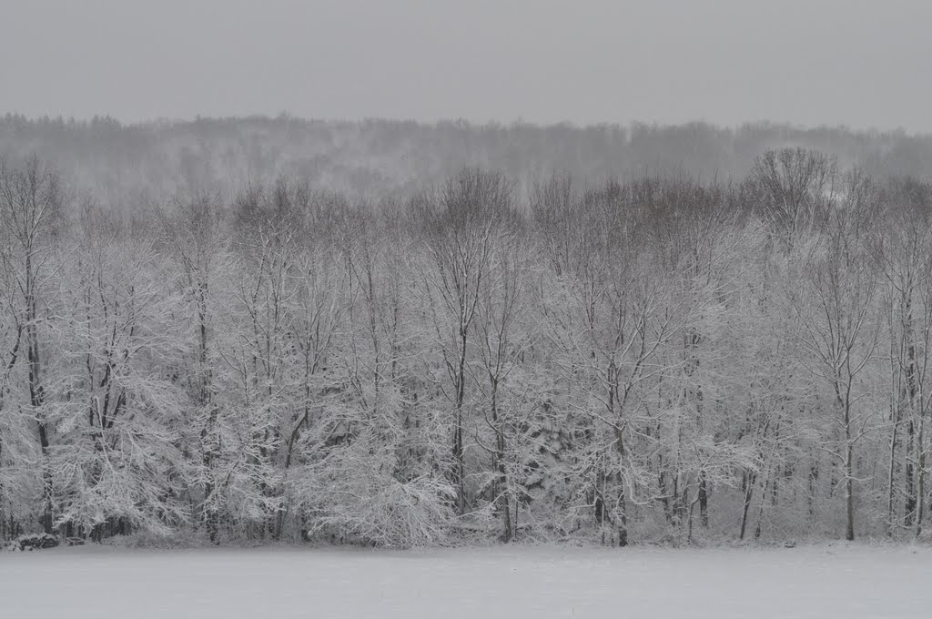 Sticky Snow