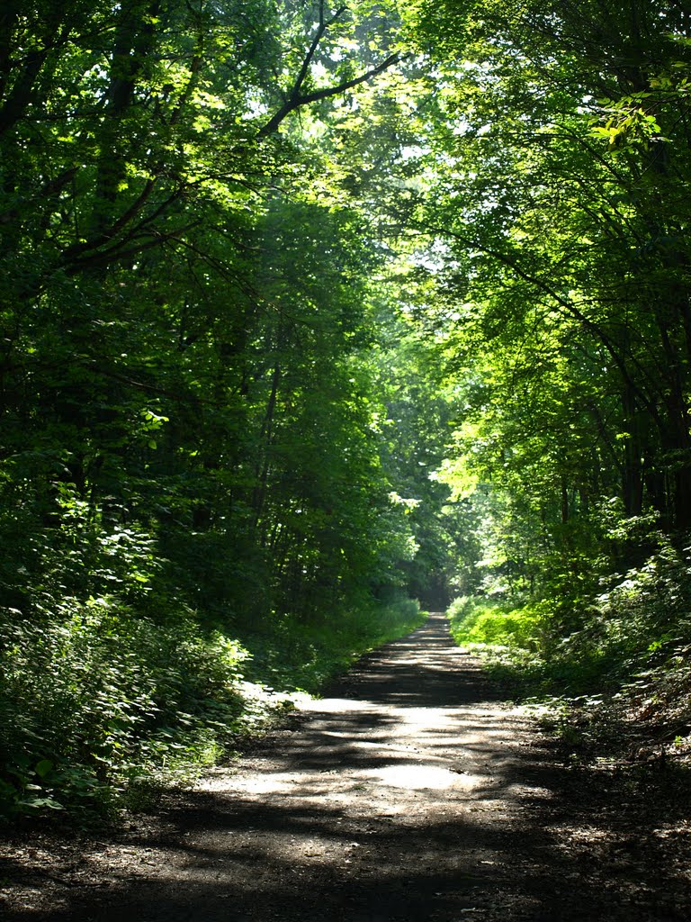 Butler-Freeport Trail