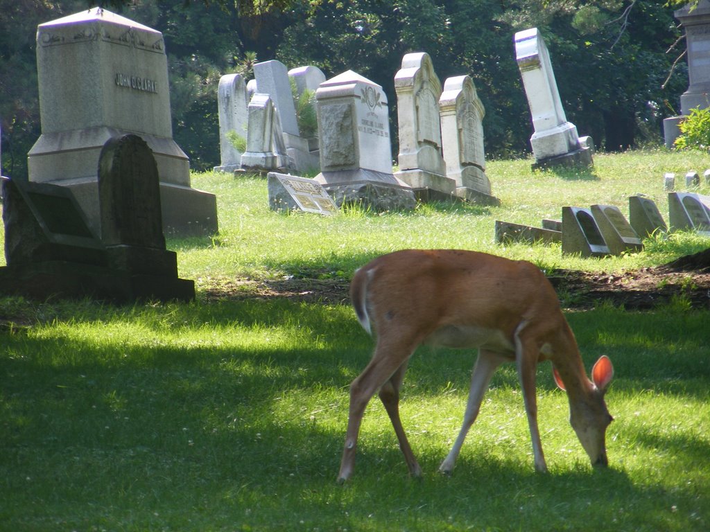 Washington Cemetery, Pennsylvania