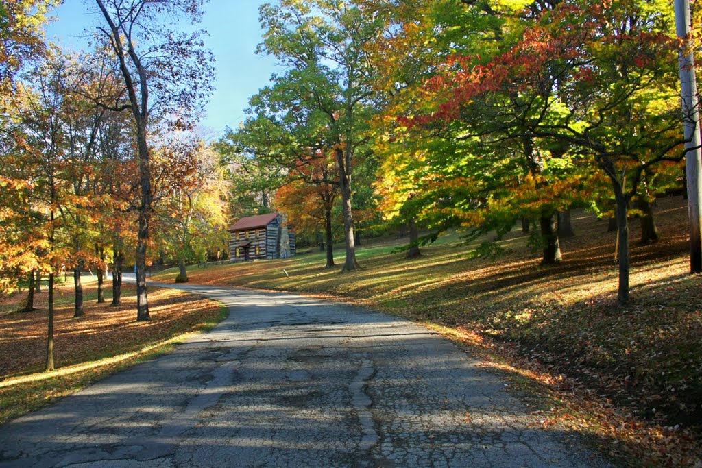 Log House at Washington Park