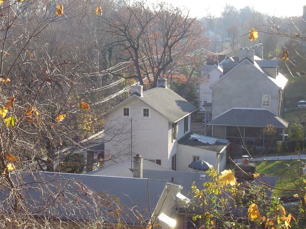 Matthews Hollow