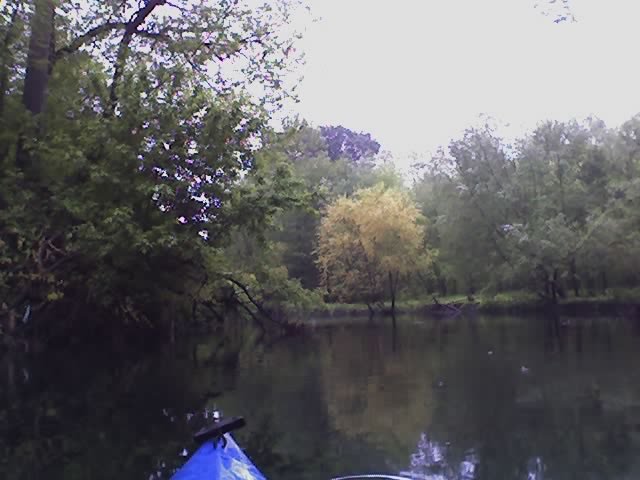 Cobbs Creek, 100cfs @ Mt Moriah Cemetary, 55F, April, Just south of Cobbs Creek Park/Golf Course in West Philadelphia