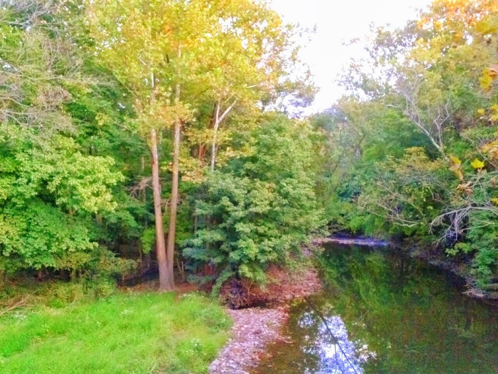 the river en farm park