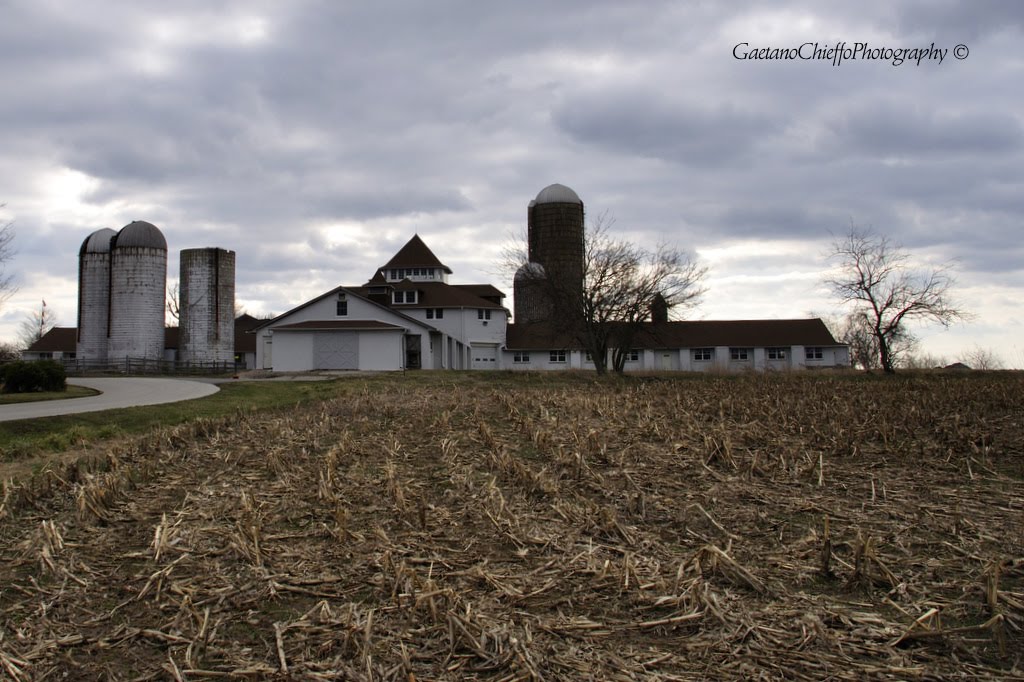 Farm