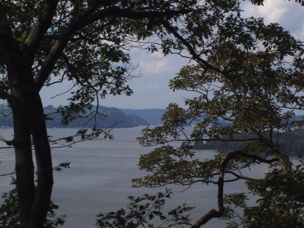 Turkey Hill Trail View