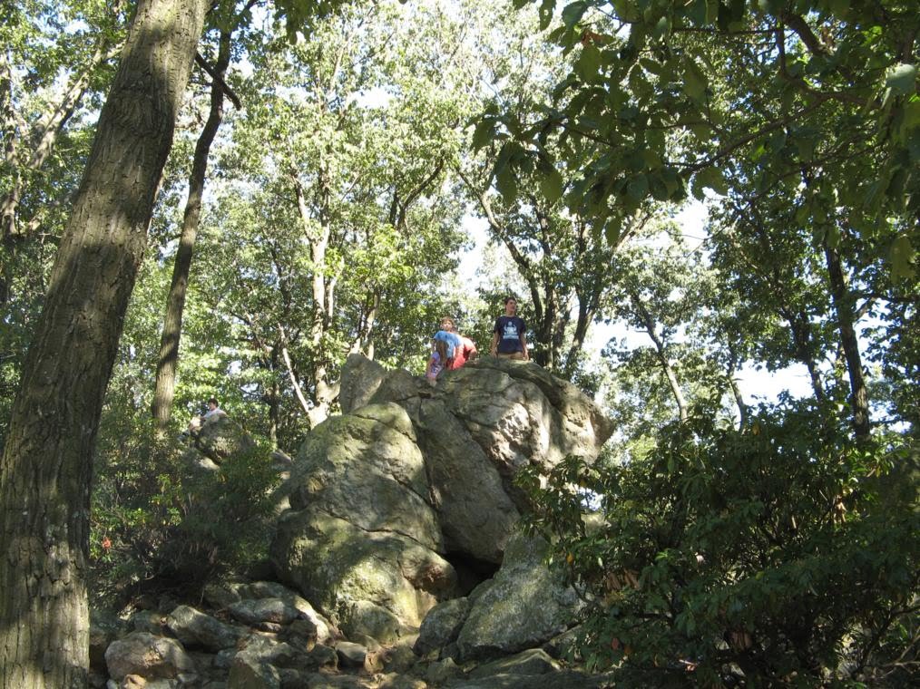 Rocks at Samuel Lewis Park