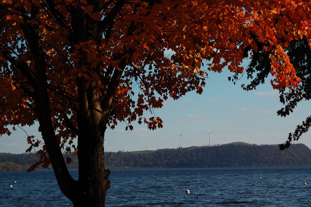 View of Turkey Point
