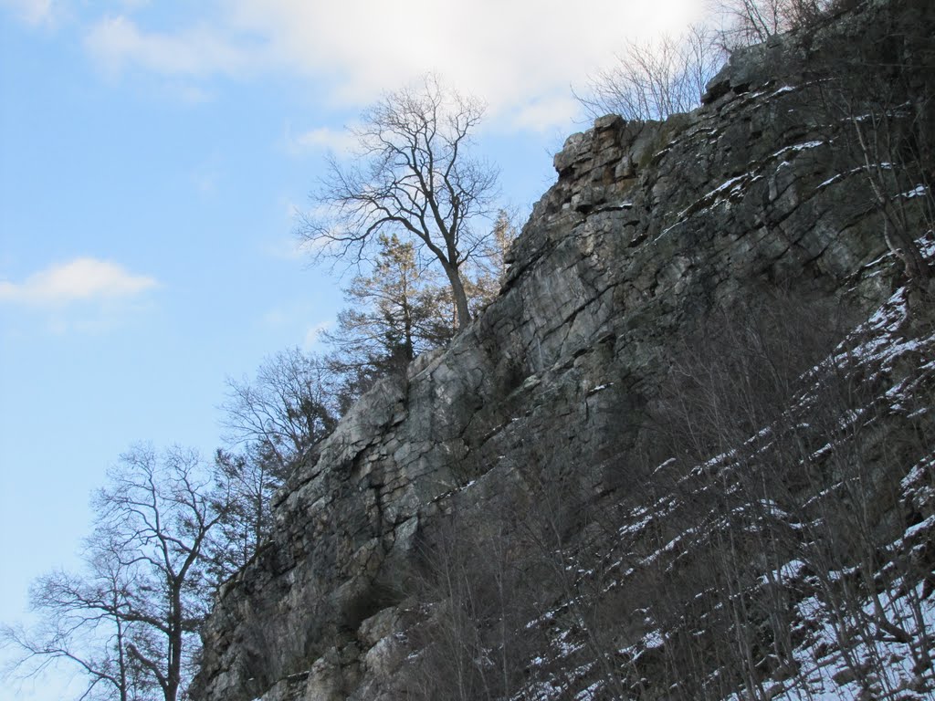 Cliffs below Buzzard Roost