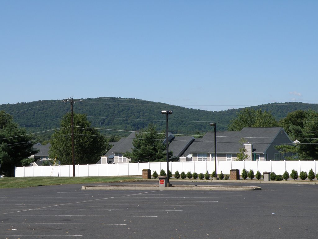 Hills Covered With Green Trees In  Easton, Pennsylvania.