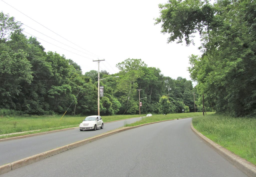 Memorial Pkwy