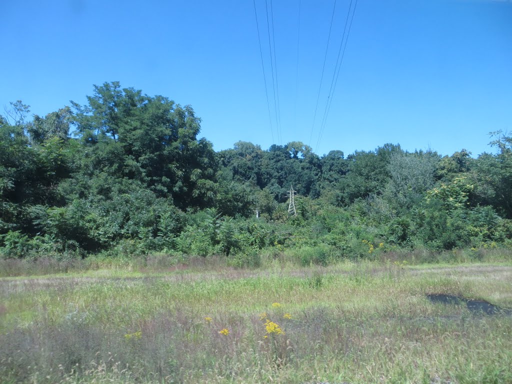 Power Lines