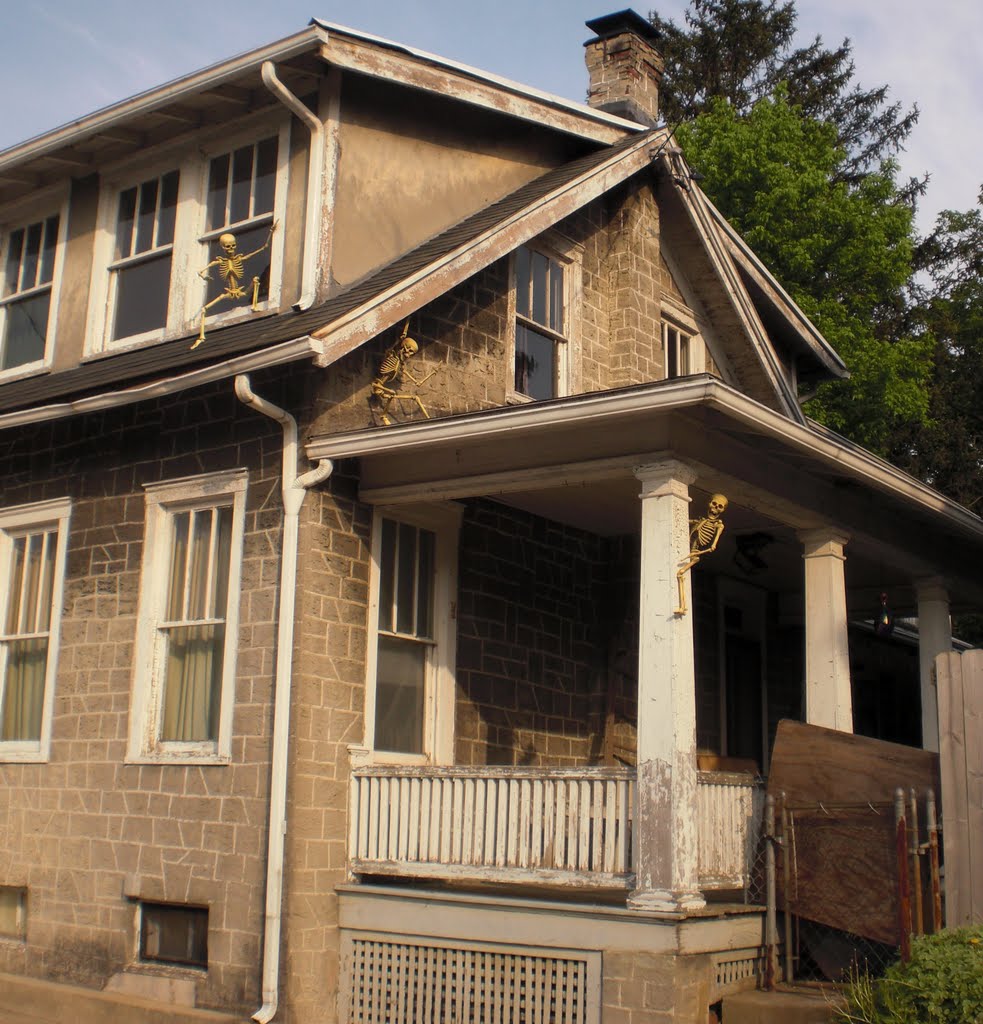Skeleton House