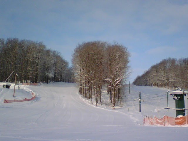 Looking up Mount Pleasant