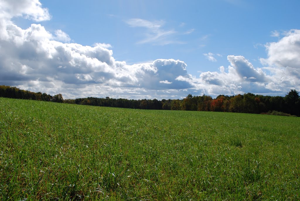 View from Arneman Road
