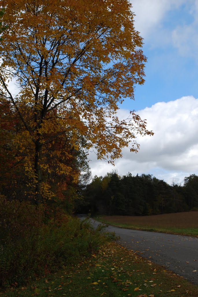 Fall view from Mount Pleasant Road