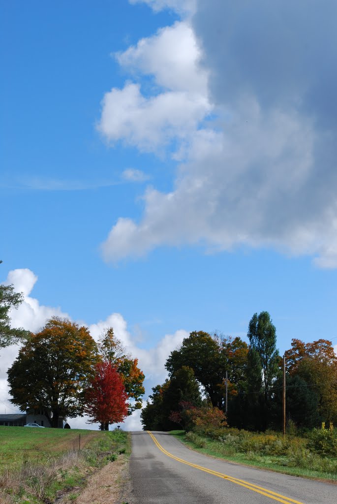 Fall View of Kinter Hill Road