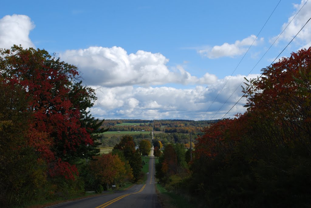 Fall View Down Kinter Hill Road