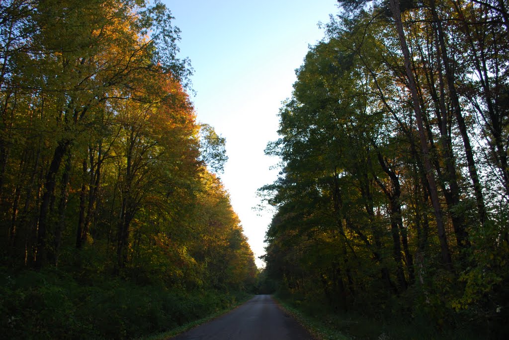 Fall View of Mount Pleasant Road
