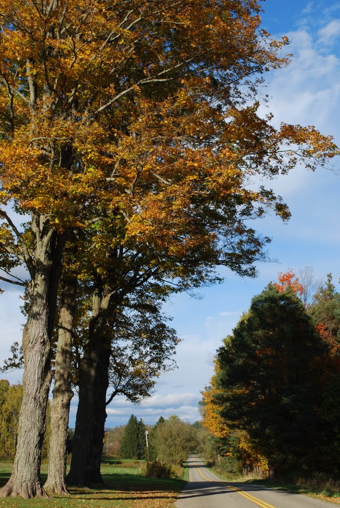 Fall View of Mount Pleasant Road
