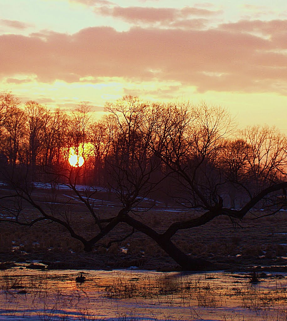 Spring Sunrise