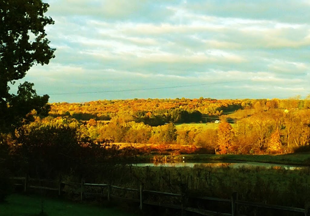 Sunny autumn morning.