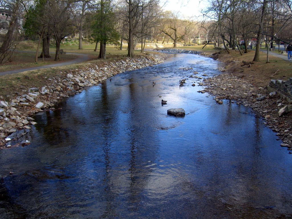 Reading Public Museum Stream