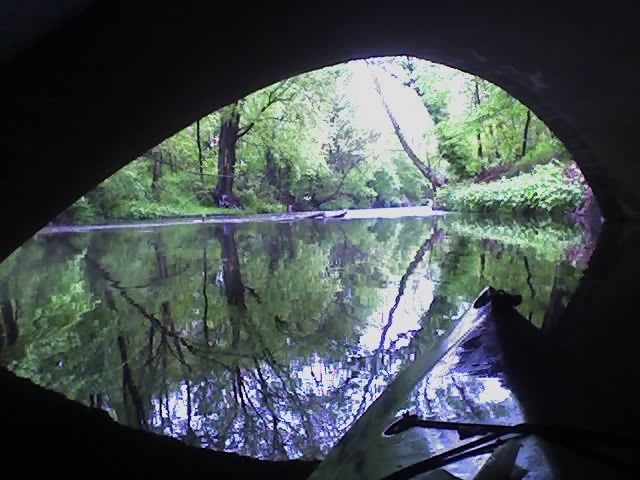 Cobbs Creek, 100cfs @ Mt Moriah Cemetary, 55F, April, West Philadelphia south of Baltimore Ave and north of 70th Street (no kidding!)
