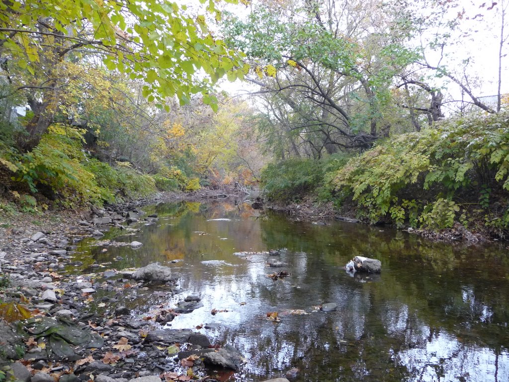 Creek behind apartments in Darby