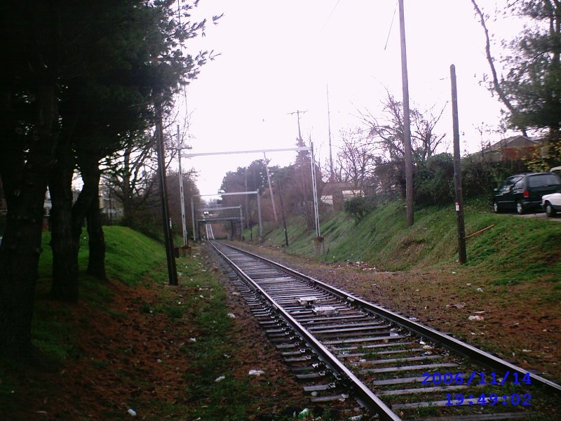 Macdade Blv trolly tracks crossing, facing south.
