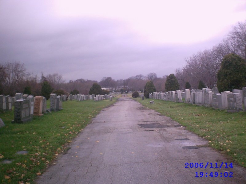 Mt Lebanon cemetary, facing north