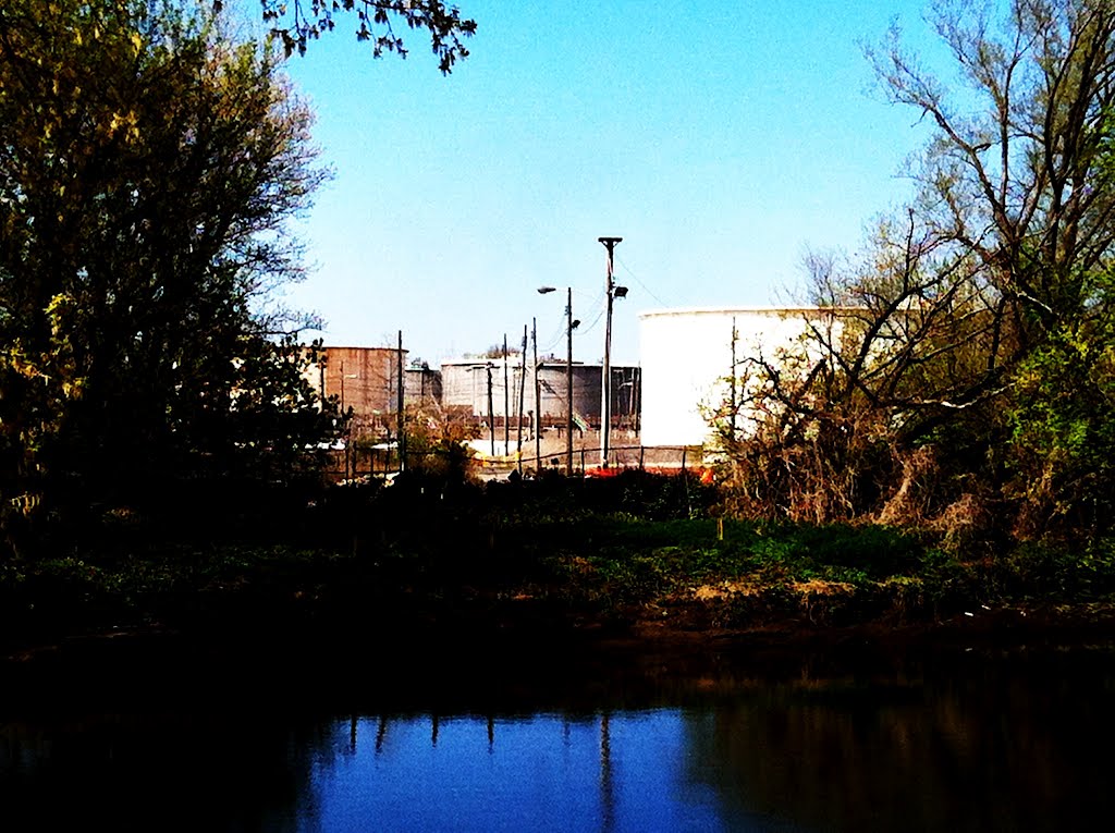 Periphary of Heinz NWR
