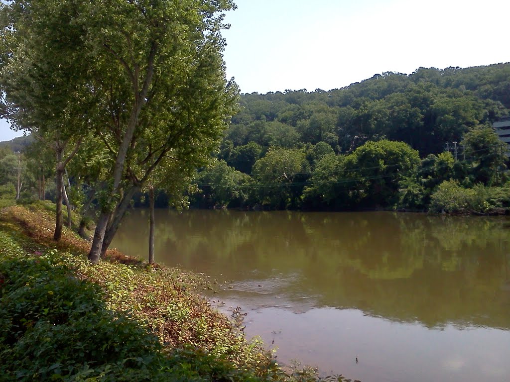 River view
