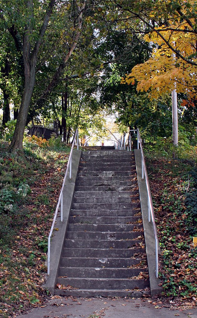 Steps to go to Crafton Park