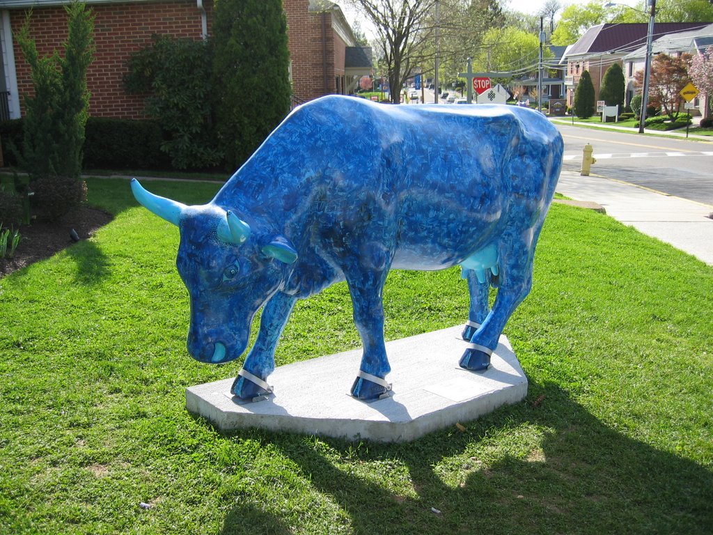 Moo Blue (1)