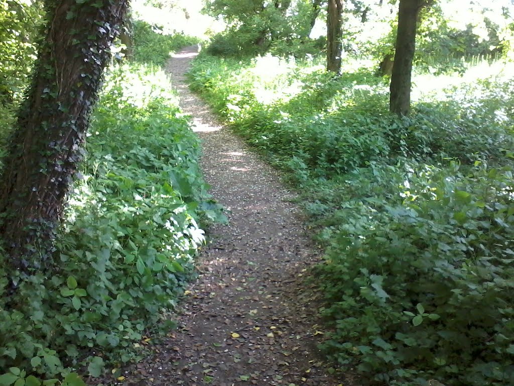Lemoyne Path 3