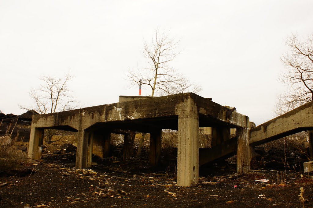 Remnant 8