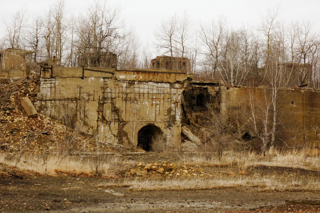 Remnant 15