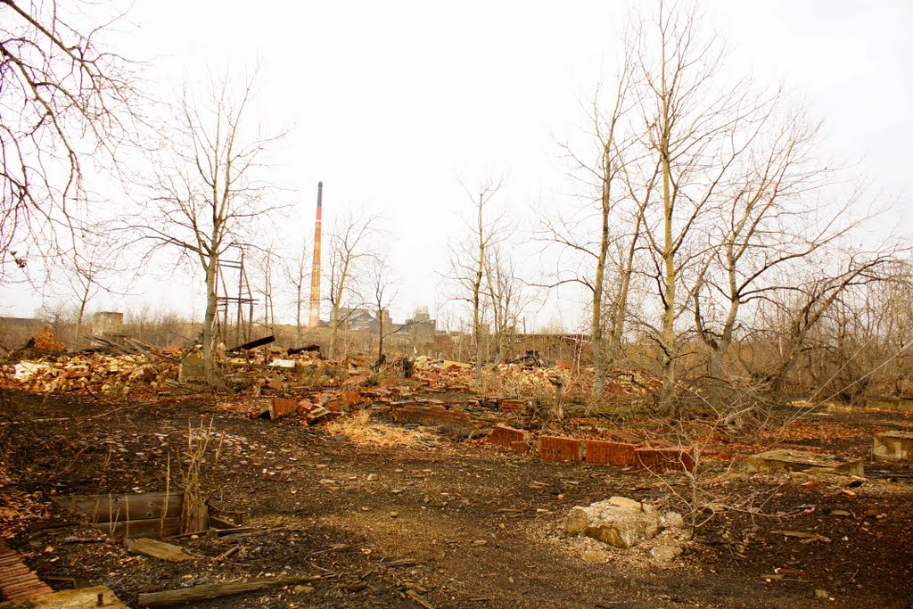 Debris