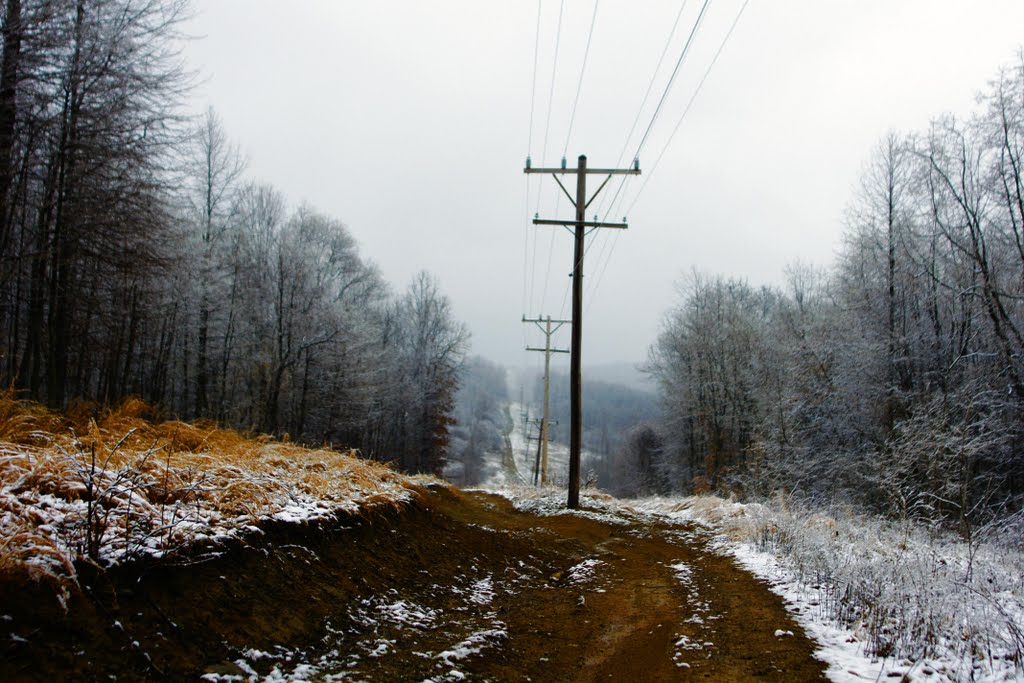 phone line trail
