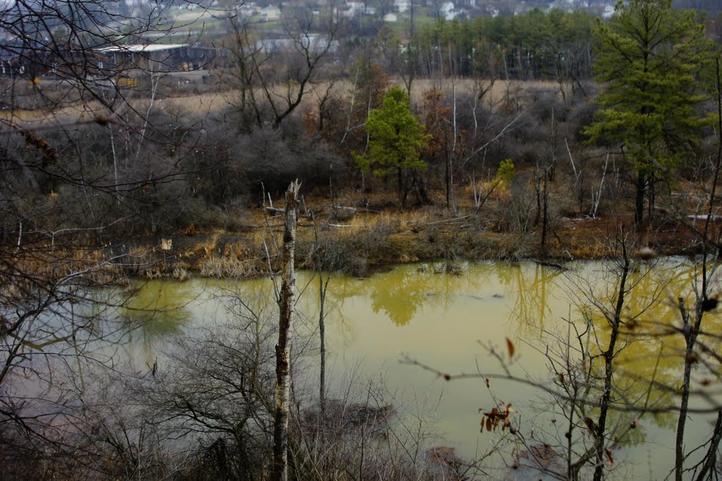 beaver dam