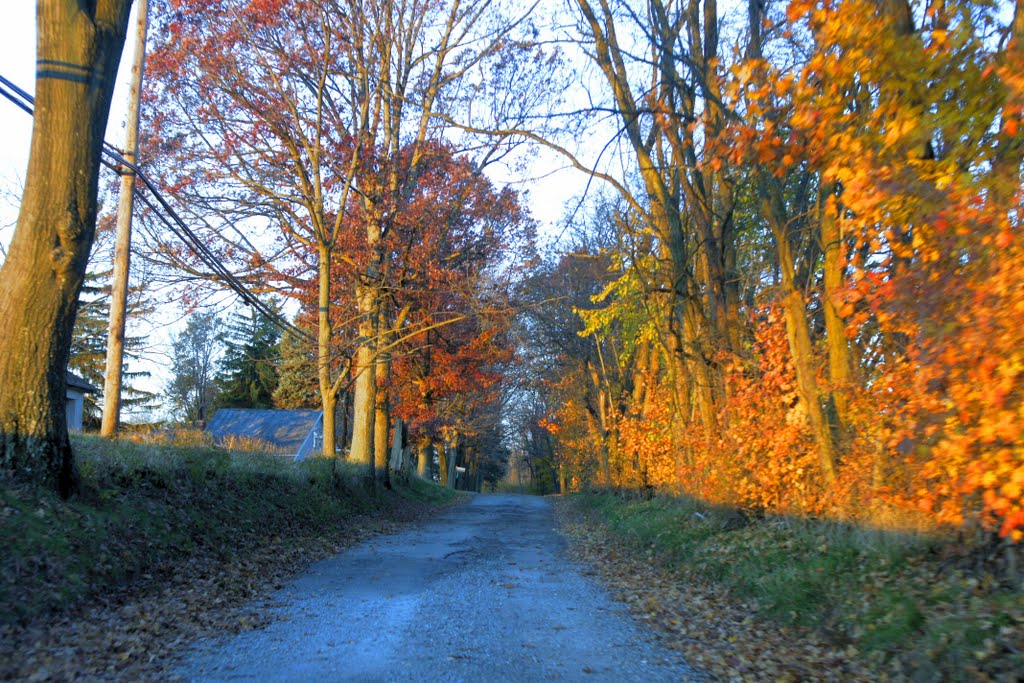 top of plum run rd