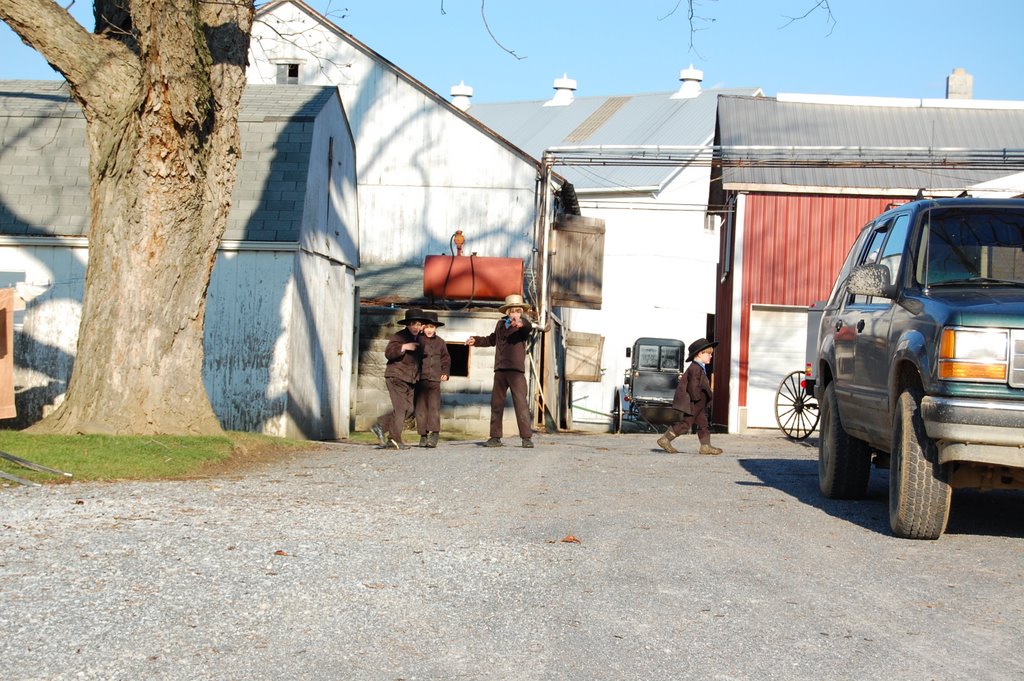 Amish Children