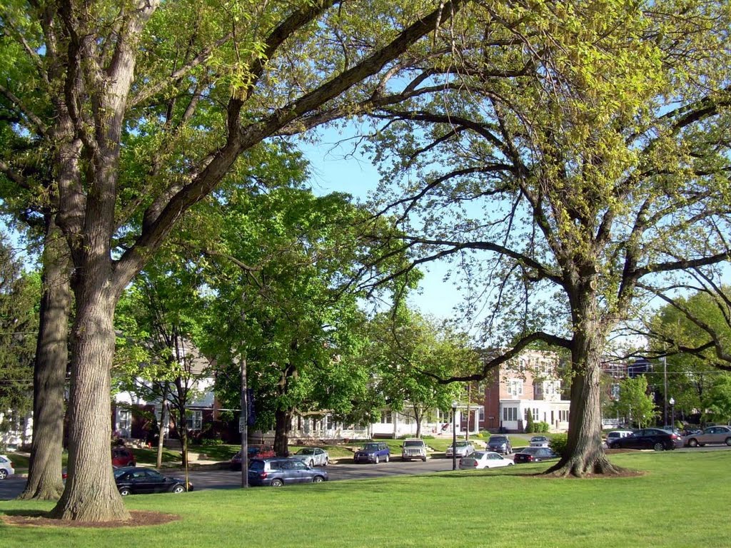 Sponaugle-Williamson Field