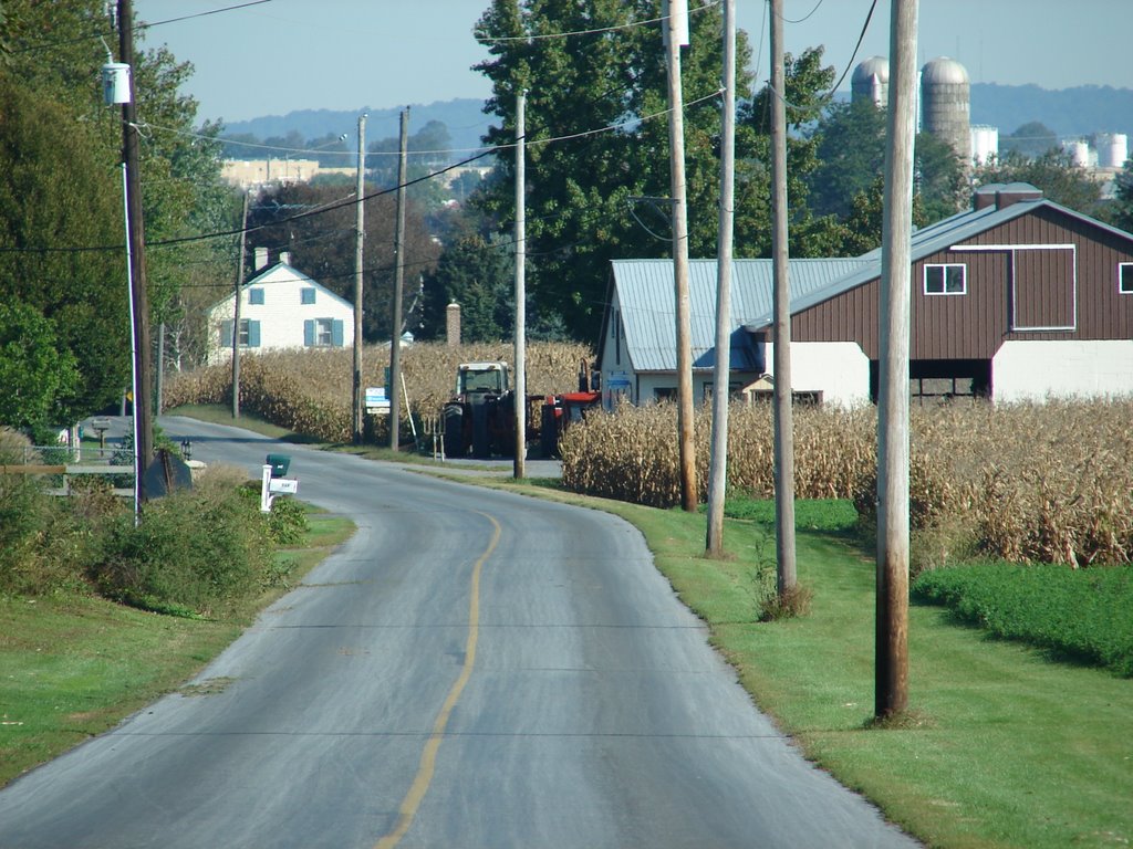 Amish  Farm