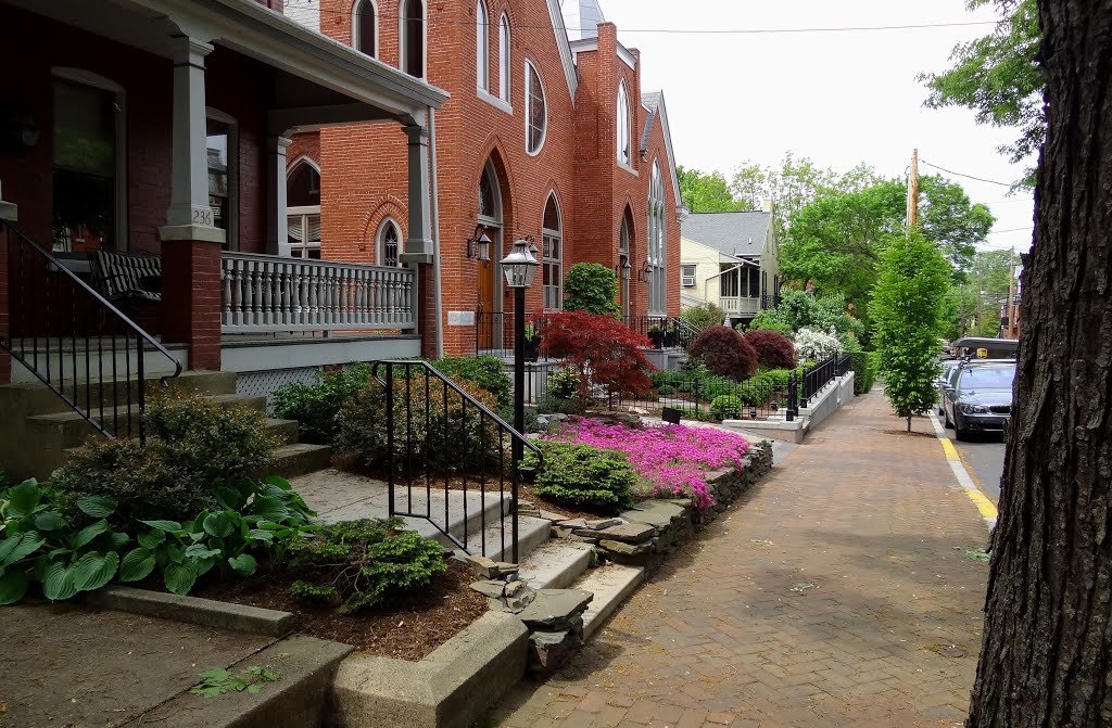 Lancaster Avenue Houses